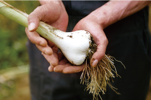 健康的なライフスタイル